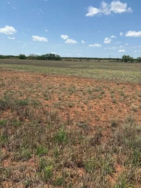 Lots & Land-Other in Bronte