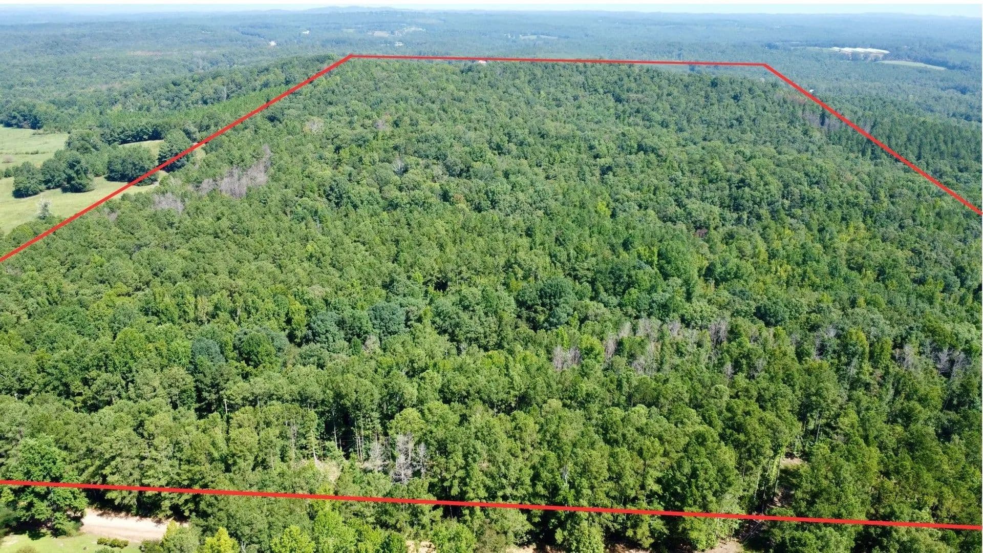Mountain View Farm | 80 +/- Acres in Randolph County - Wedowee, Alabama, 36278
