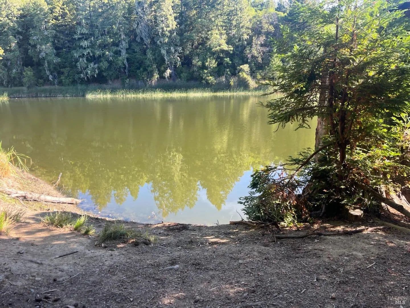 Lots & Land-Other in Willits - Willits, California, 95490