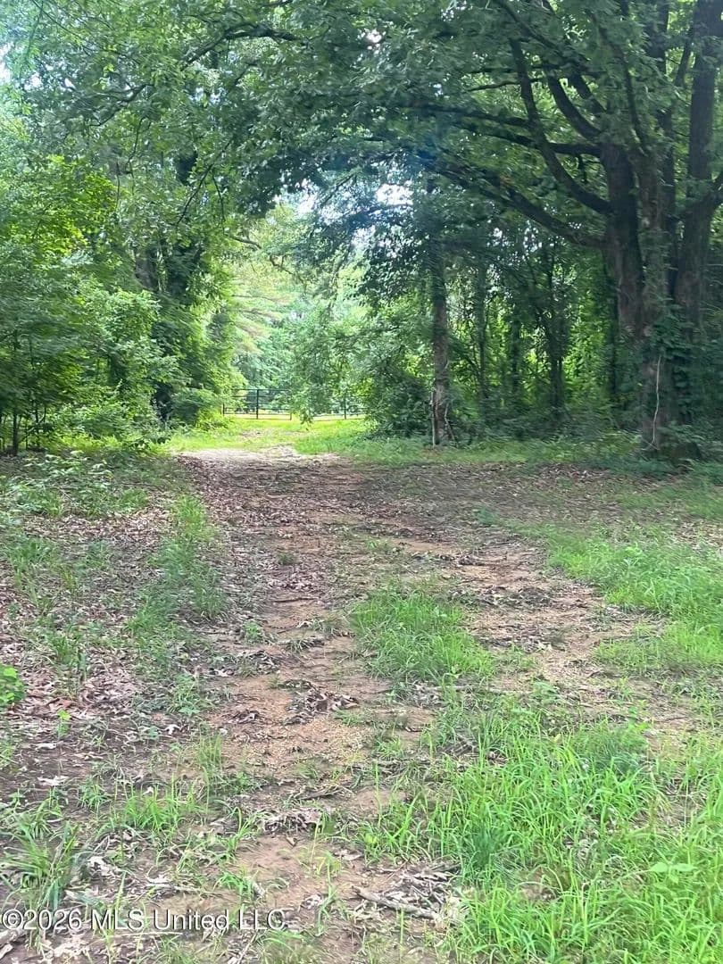 Property from Longtown Road - KW - Sarah, Mississippi, 38665