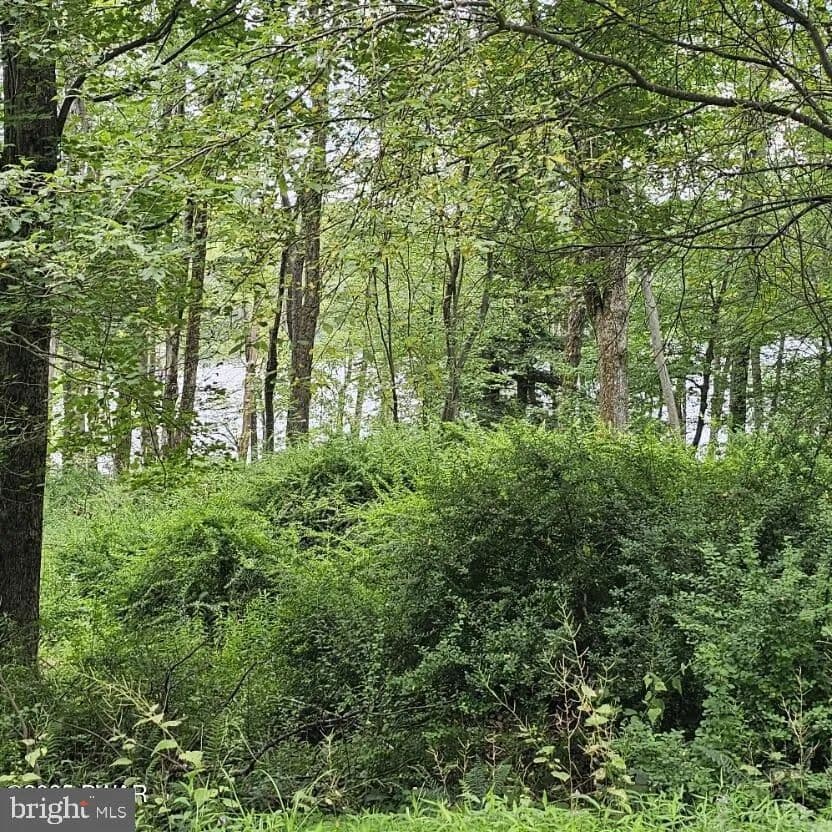 0.96 Acres of Land for Sale in NEWFOUNDLAND, PA - Newfoundland, Pennsylvania, 18445