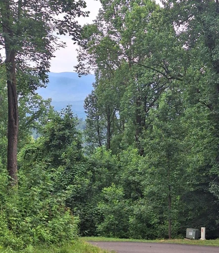 Property from 274 Andes Ridge - KW - Morganton, Georgia, 30560