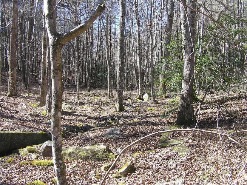 Land -Agricultural (Not Zoned) in Spencer