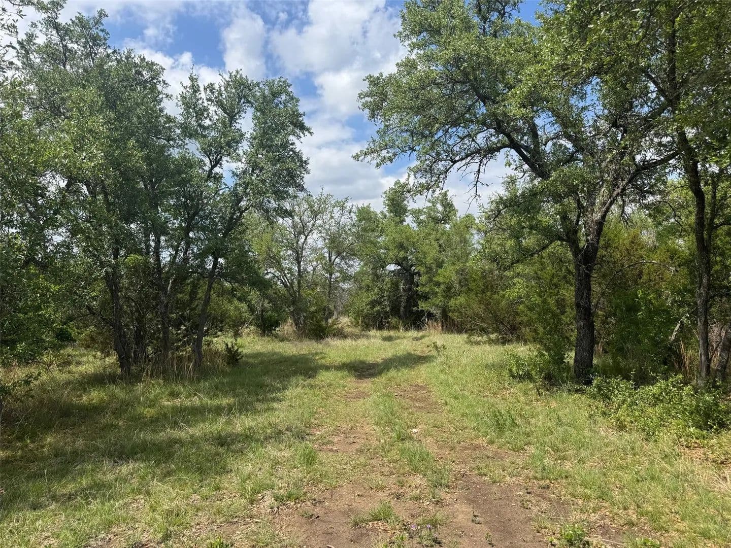 Vacant Land in Briggs - Briggs, Texas, 78608