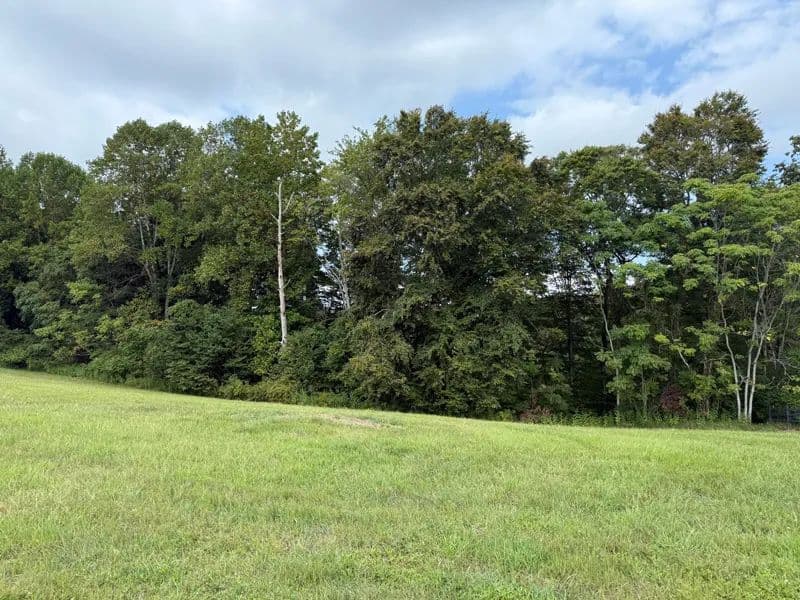 Land -Agricultural (Not Zoned) in Russell Springs - Russell Springs, Kentucky, 42642