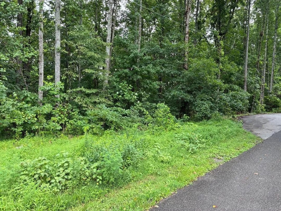 Land -Agricultural (Not Zoned) in Nashville - Nashville, Tennessee, 37221
