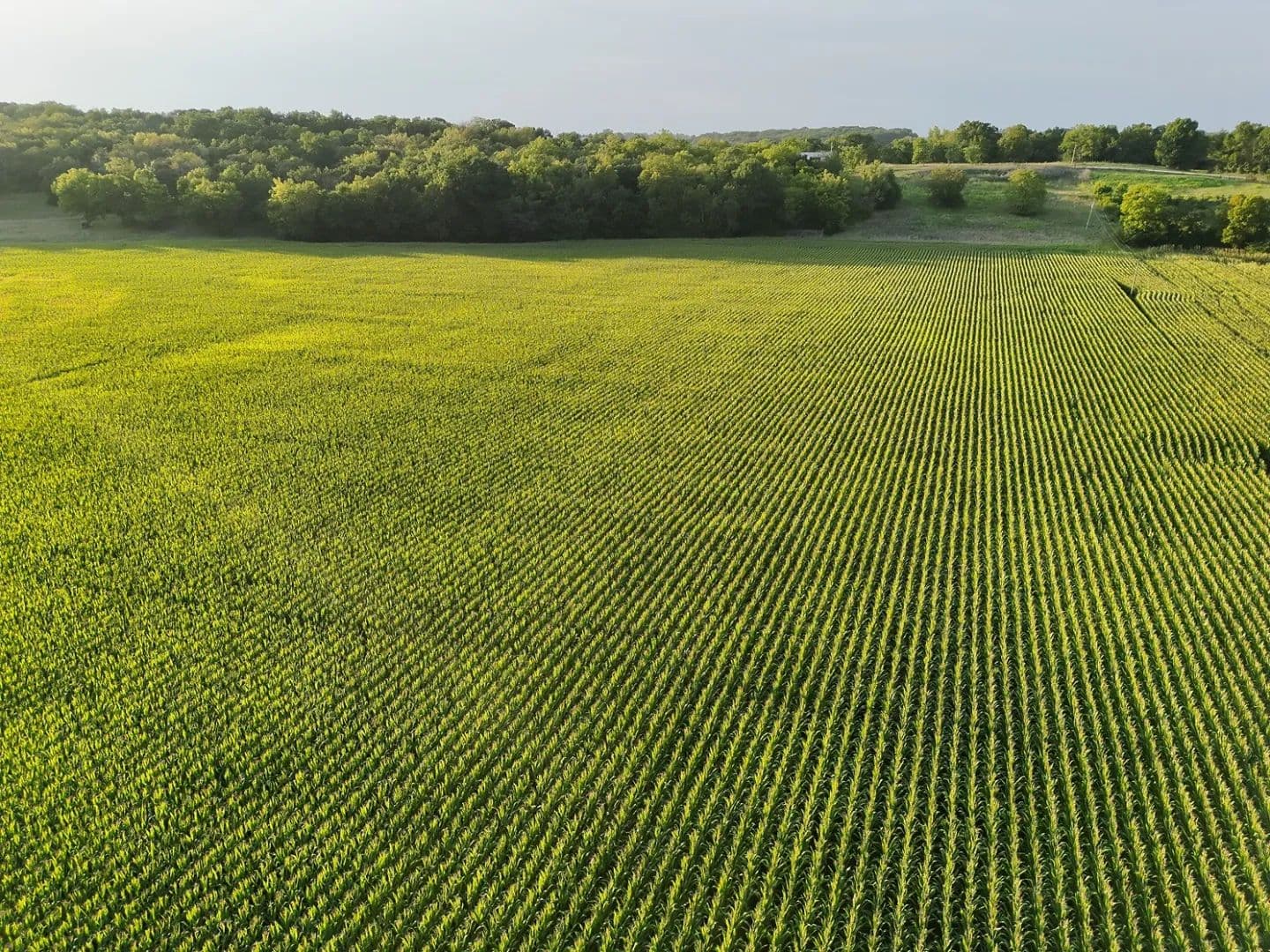 Productive 30.08-Acre Farm & Recreation Tract - Northern Lincoln County - Elsberry, Missouri, 63343