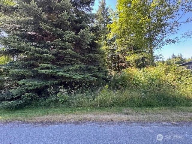 Vacant Land in Coupeville