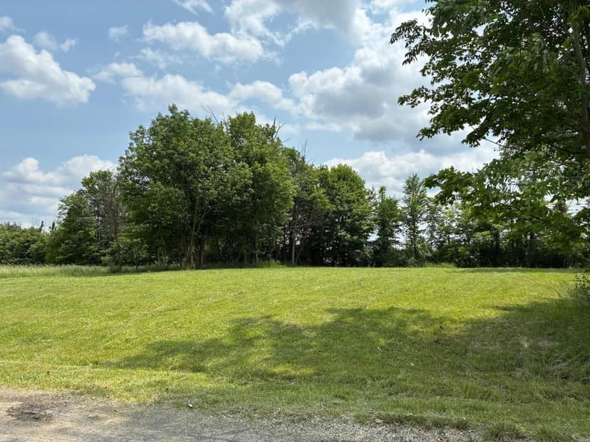 Lots & Land-Other in Mount Gilead