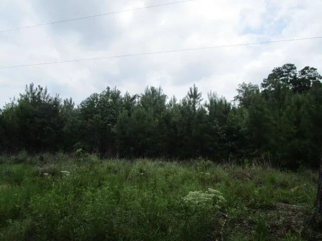 Vacant Land in Hollywood