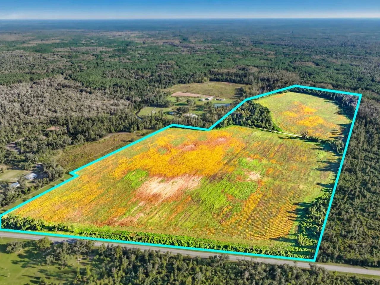 68.71 Acres of Opportunity- Farmland, Homesites & Equestrian Potential - Madison, Florida, 32340