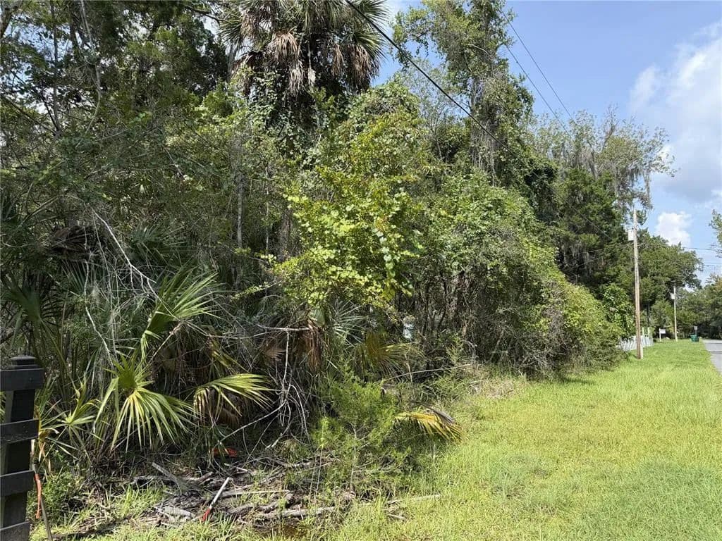 Vacant Land in Homosassa - Homosassa, Florida, 34448