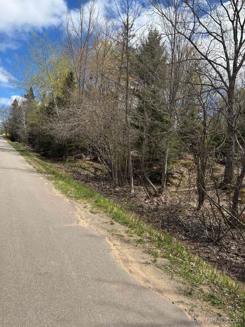Vacant Land in Champion - Champion, Michigan, 49814