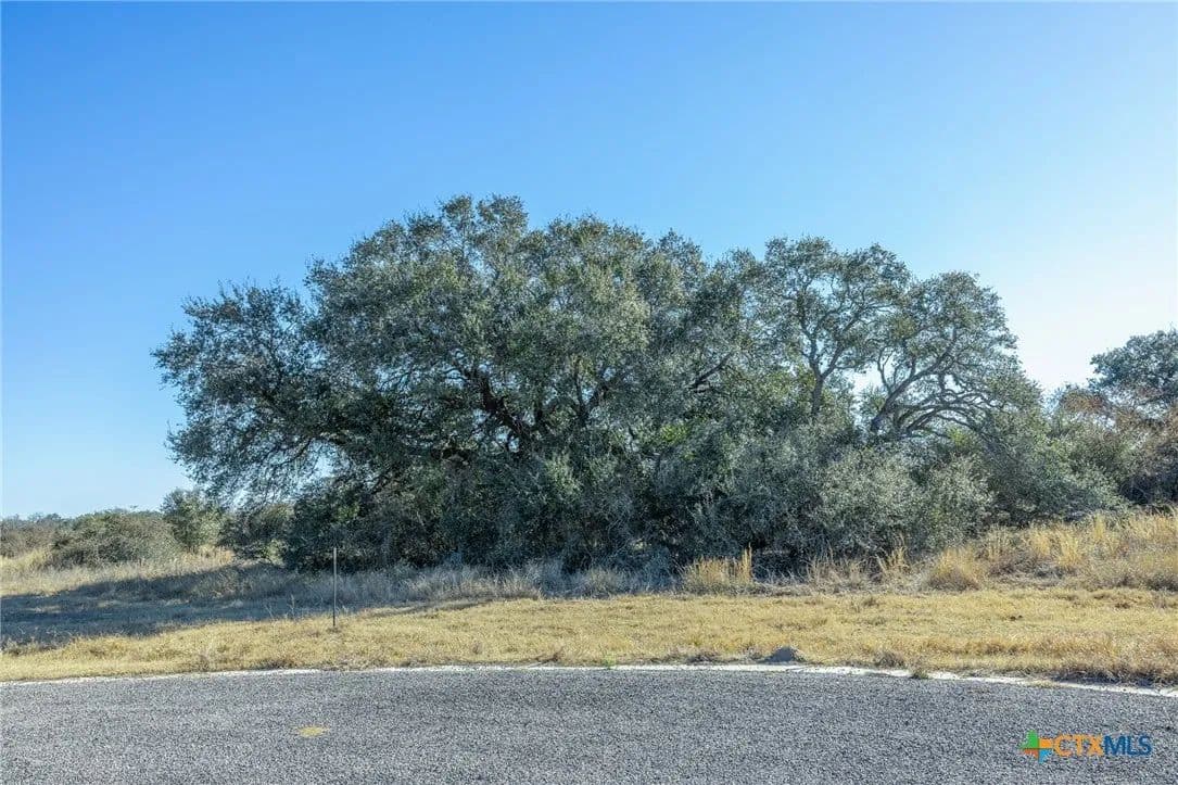 Vacant Land in Inez - Inez, Texas, 77968