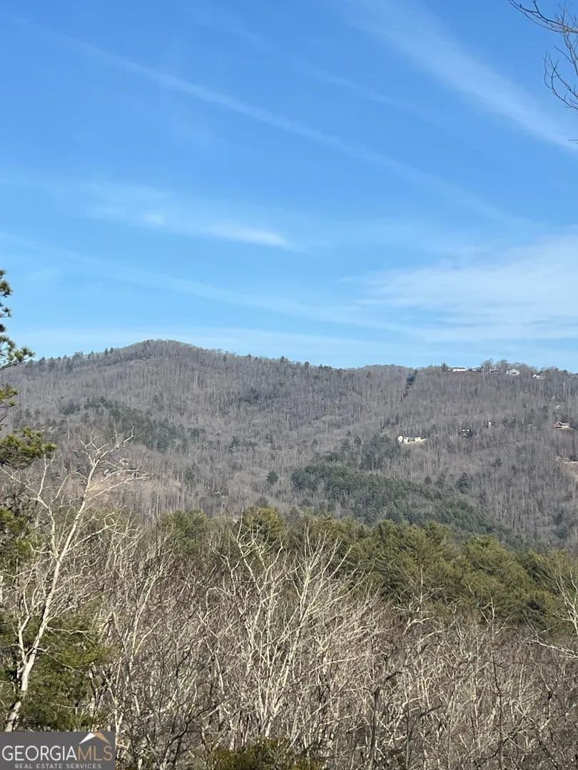 Lots & Land-Other in Dillard