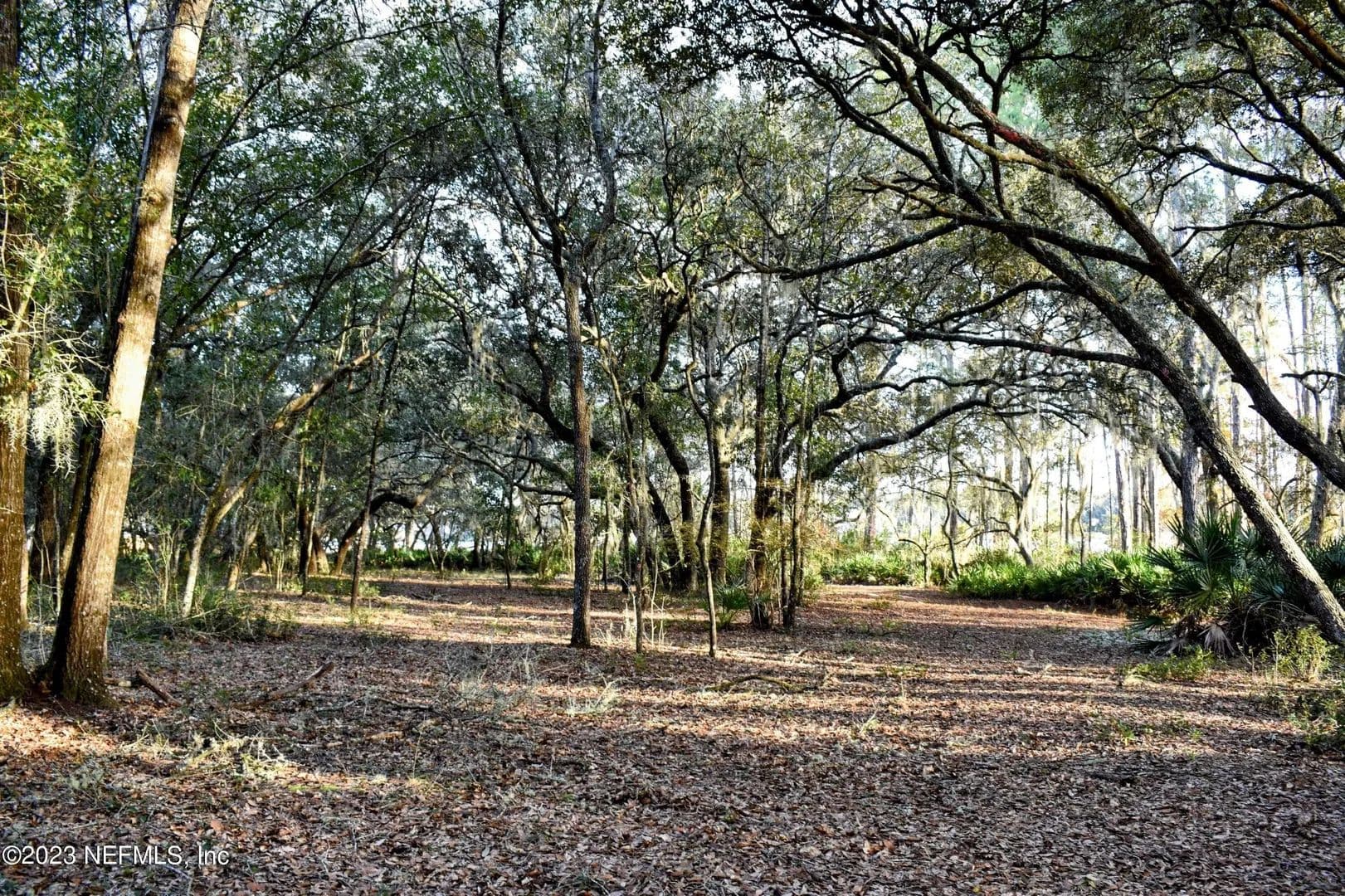 Lots & Land-Other in Interlachen - Interlachen, Florida, 32148