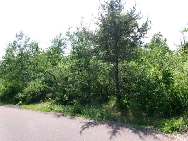 0.79 Acres of Land for Sale in Hayward, Wisconsin - Hayward, Wisconsin, 54843