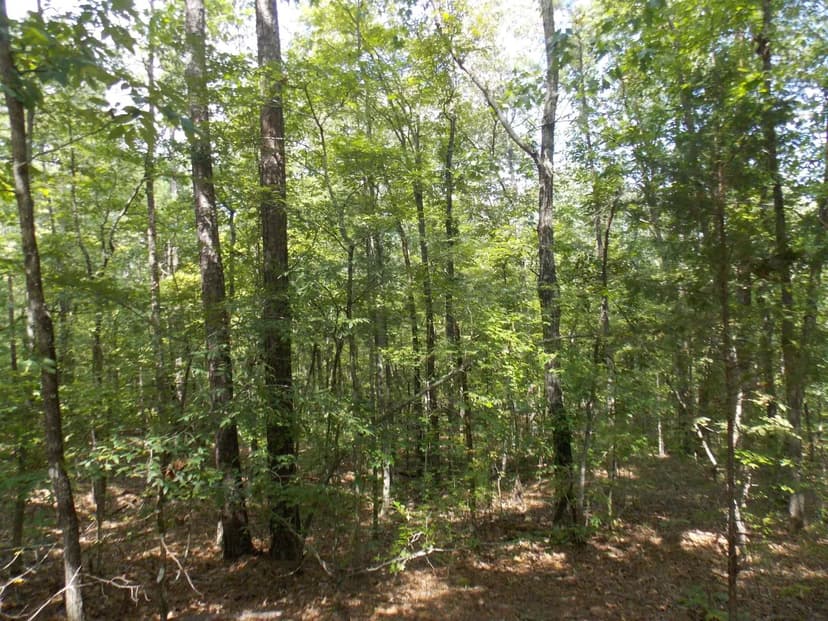 Lots & Land-Other in Lincolnton