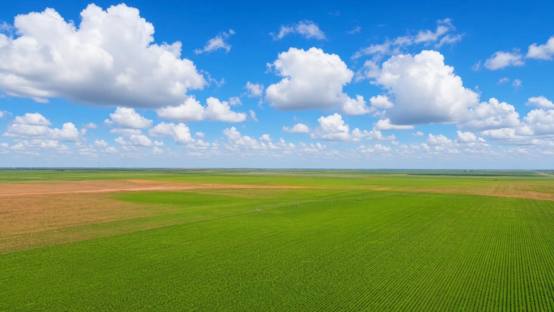 Gaines County Farm - Ashmore, Texas
