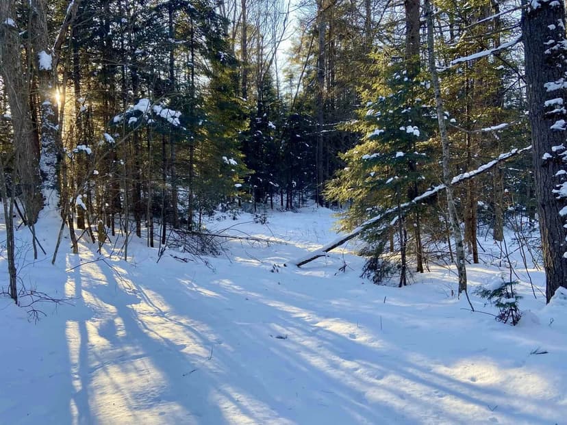 Vacant Land in Dalton