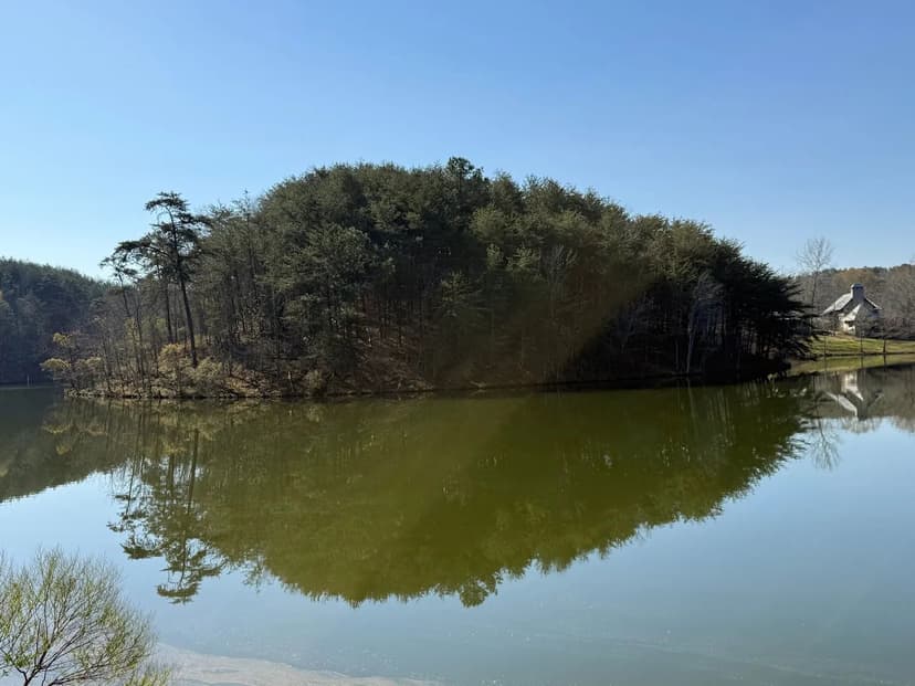 Sawtooth Branch Lake Lot