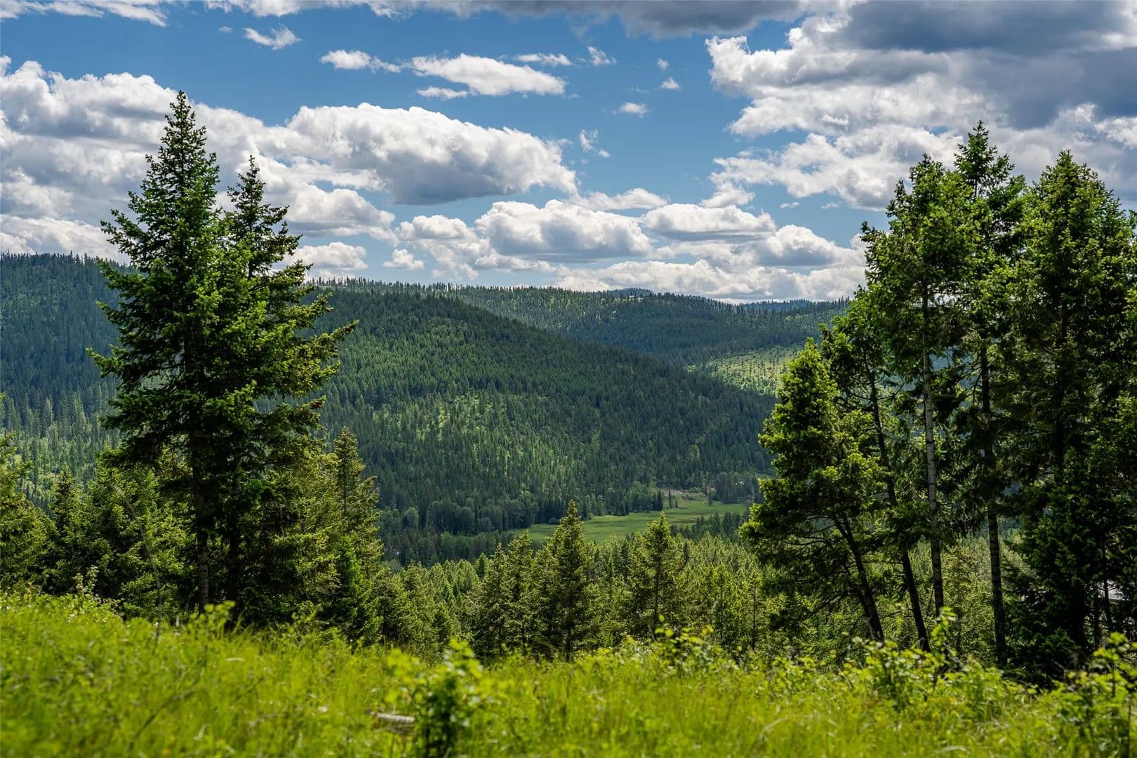 7.81 Acres of Land for Sale in Kalispell, MT - Kalispell, Montana, 59901