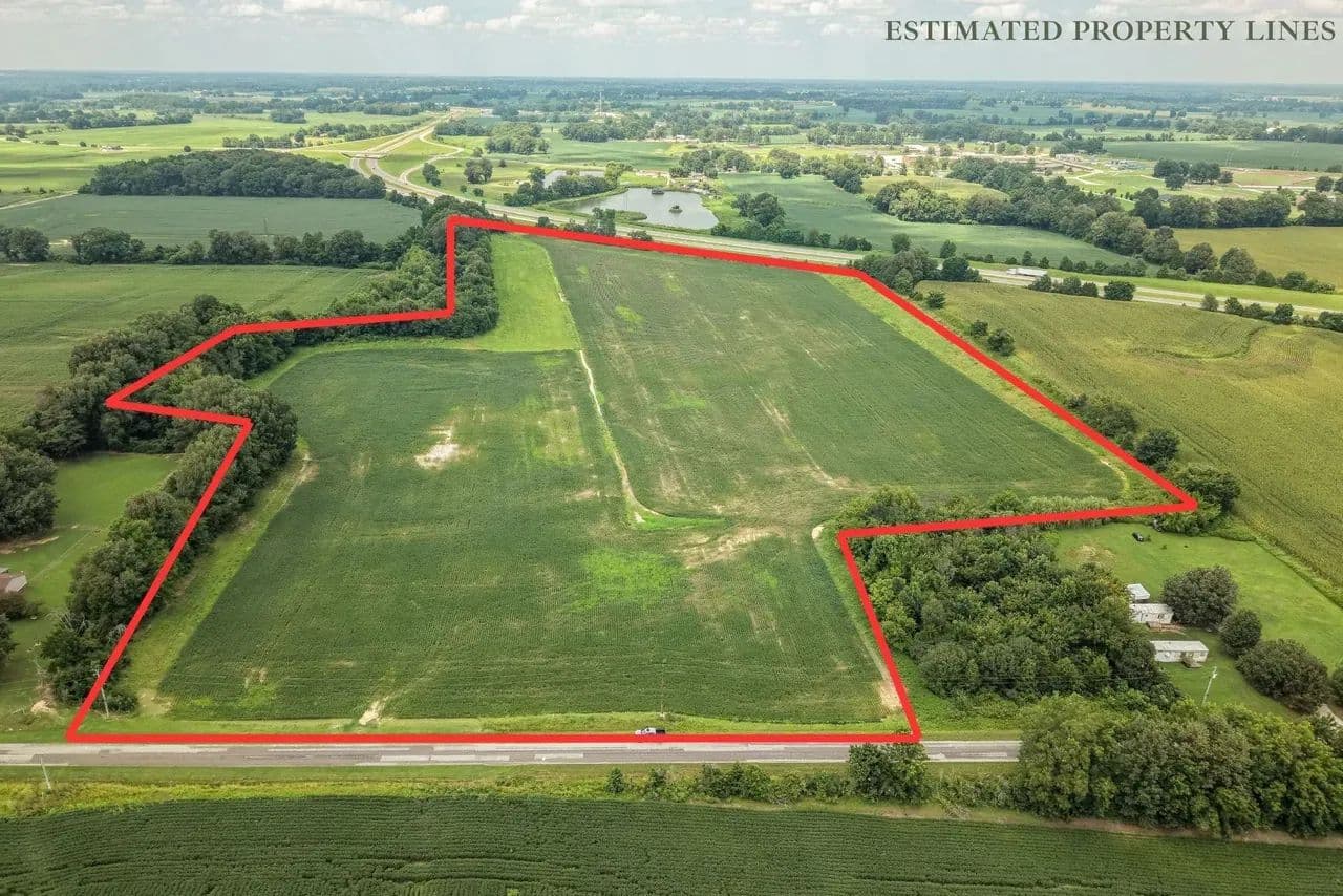 Productive Agricultural Ground - land for sale