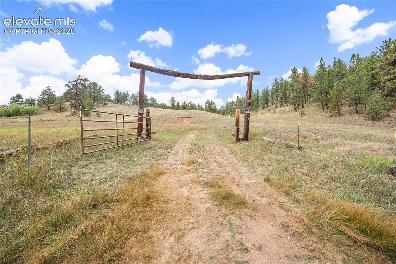 240 Acres of Land for Sale in Divide, CO - Divide, Colorado, 80814