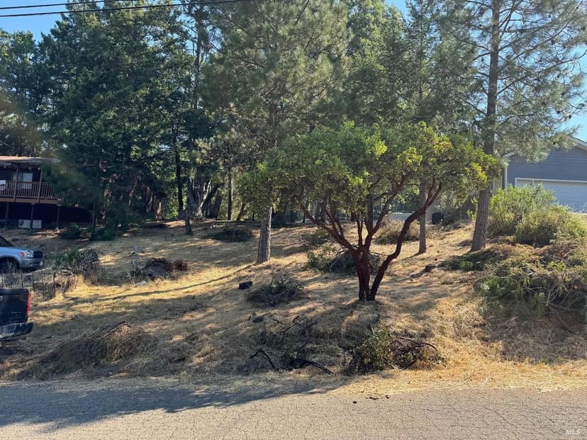 Vacant Land in Willits