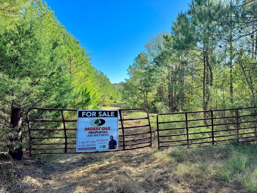 Copiah 408+/- Acres