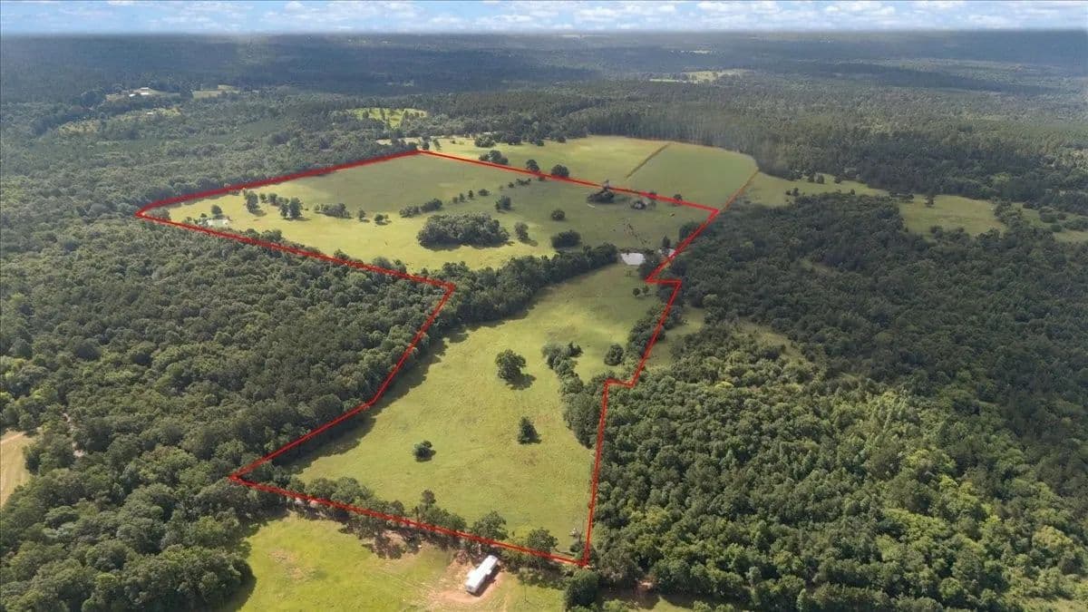 Vacant Land (10+ Acres) in Cushing - Cushing, Texas, 75760