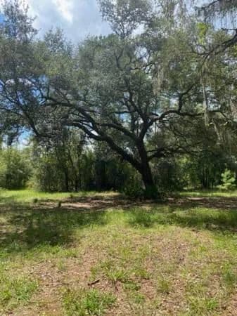 Lots & Land-Other in Mayo