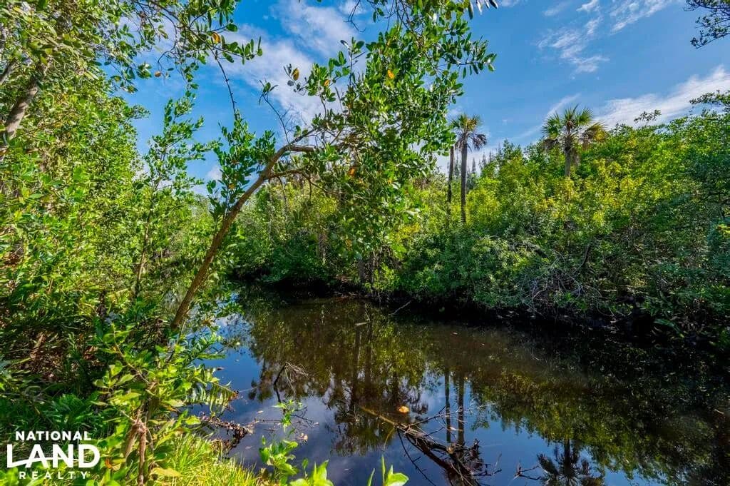 Hendry Creek Development Acreage - Fort Myers, Florida, 33907