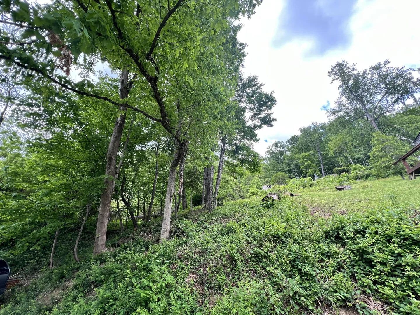Lots & Land-Other in Gauley Bridge - Gauley Bridge, West Virginia, 25085