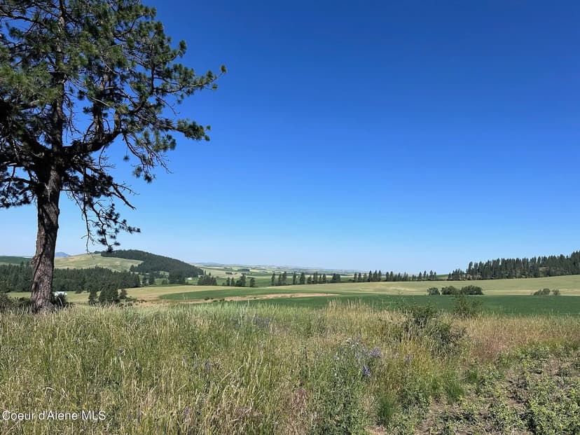 Property from 2000 Pine Creek Rd - KW