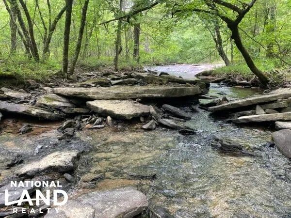 Warrior Brewer Creek Tract - Warrior, Alabama, 35180