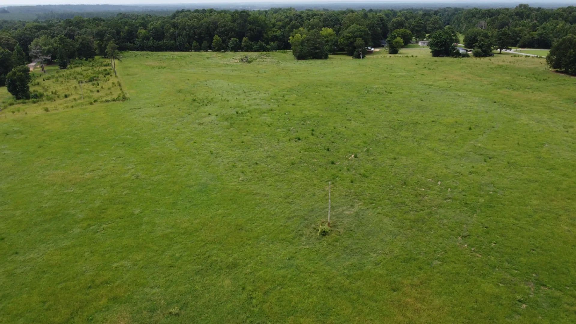Nice Hunting – Pasture or Hay Land - Tyler, Alabama, 36785