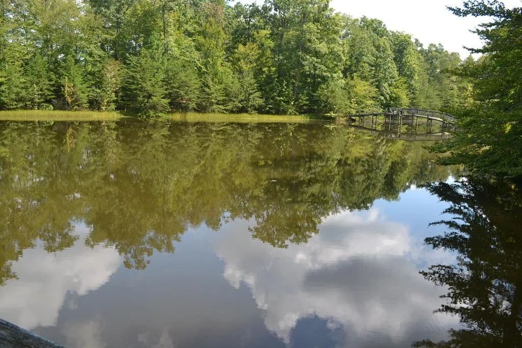 Lots & Land-Other in Farmville - Farmville, Virginia, 23901