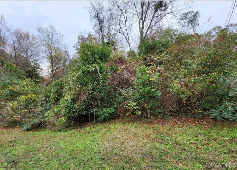 Vacant Land in Enterprise - Enterprise, Alabama, 36330