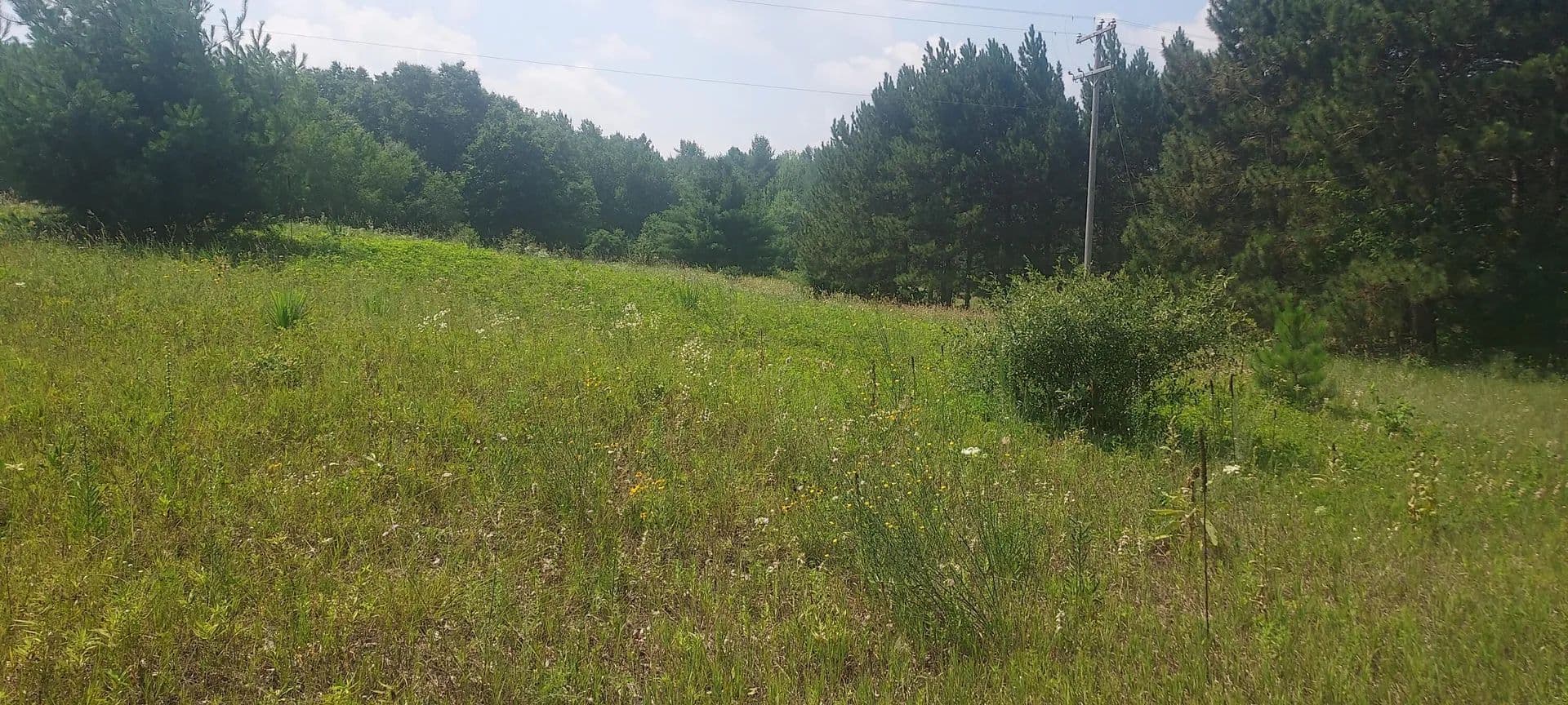 Lots & Land-Other in Howard City - Howard City, Michigan, 49329