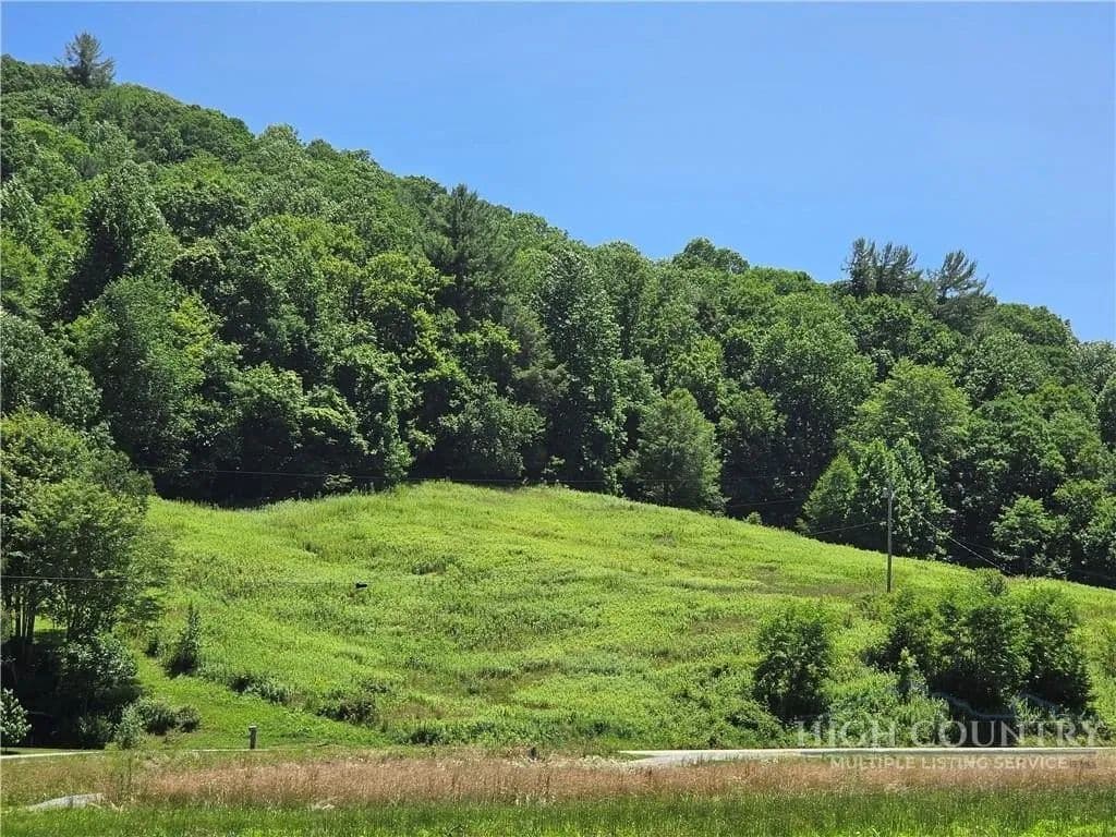 Lots & Land-Other in Elk Park - Elk Park, North Carolina, 28622
