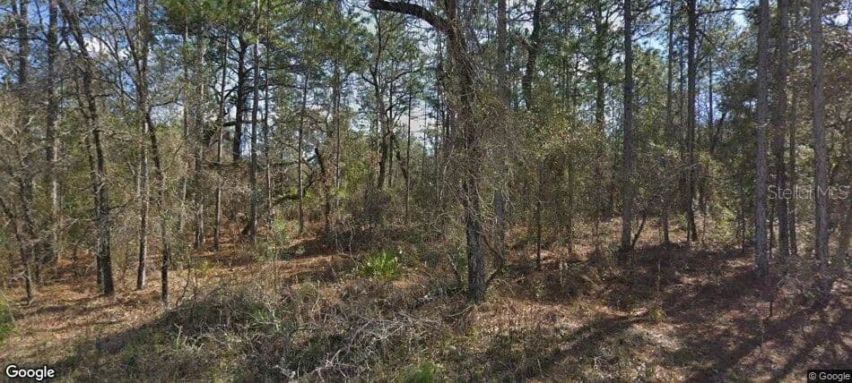 Property from 14390 ENGLISH SPARROW ROAD - KW - Weeki Wachee, Florida, 34614