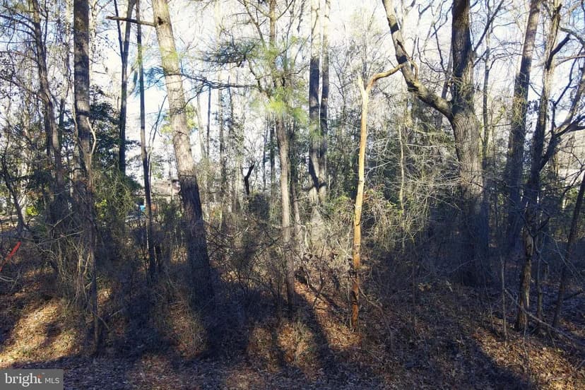 Vacant Land in Bishopville