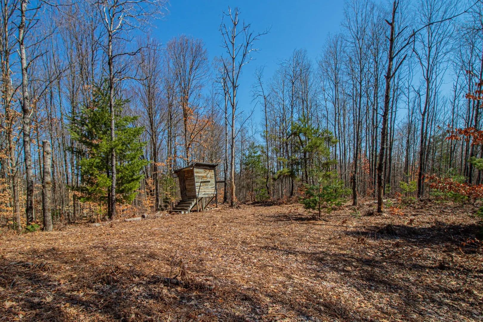 Lots & Land-Other in White Cloud - White Cloud, Michigan, 49349