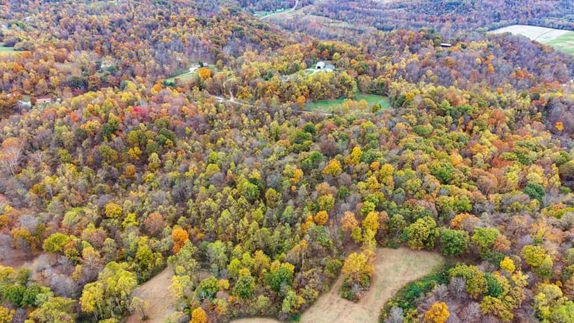 Lots & Land-Other in Gallipolis