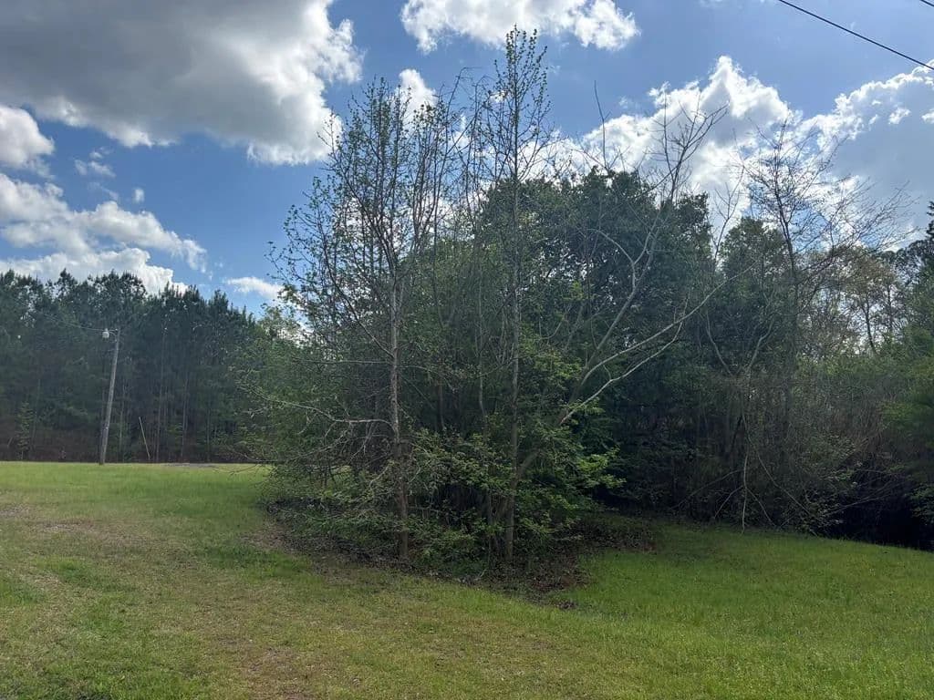 Vacant Land in Hamilton - Hamilton, Georgia, 31811