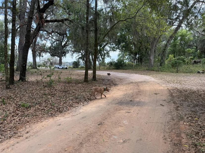 Lots & Land-Other in SUMTERVILLE