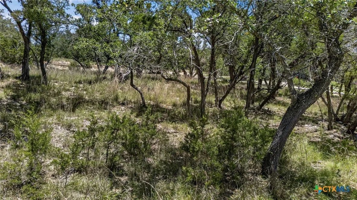 Vacant Land in Canyon Lake - Canyon Lake, Texas, 78133