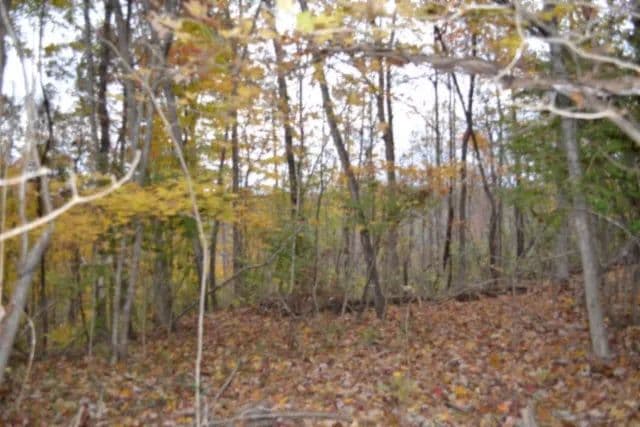 10.70 AC – WOODED- BUILDING SITE – JOINS USA CORP OF ENG ON DALE HOLLOW LAKE