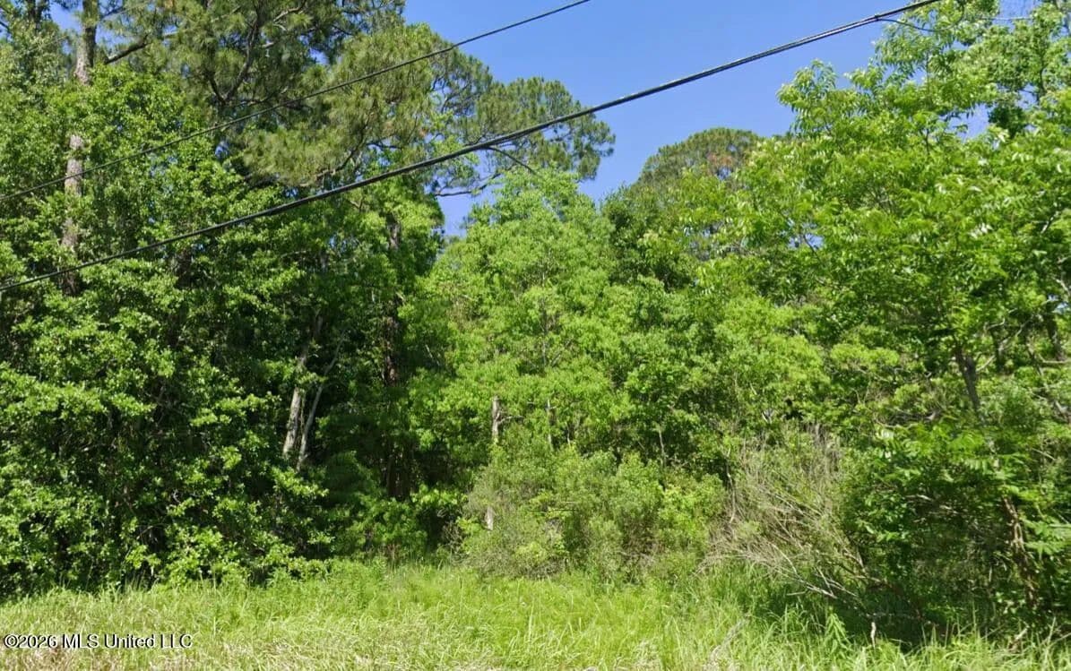 Property from S 16th Street - KW - Ocean Springs, Mississippi, 39564